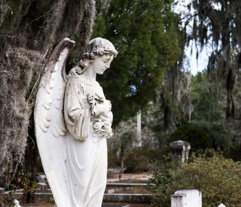 Angels in Savannah Cemetery