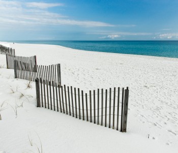 The Island of Santa Rosa