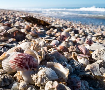 Is it Difficult to Get to Sanibel?