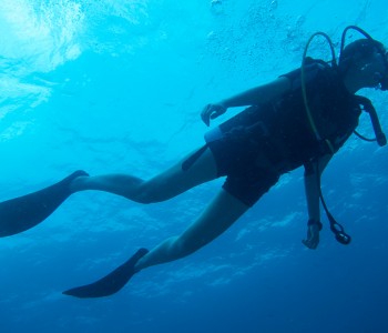 Diving in Seychelles