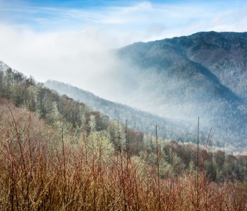 The Memories of the Smoky Mountains