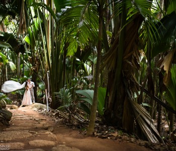Wedding in Seychelles