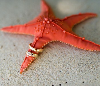 Precos.lv: Wedding in Seychelles