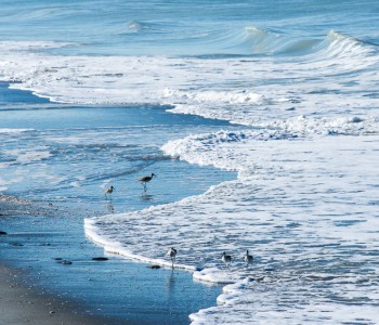 Where to Spend the Winter