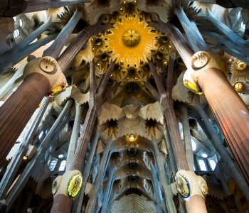 The Ceiling of Sagrada Familia
