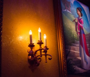 Disney: to Visit or Not to Visit