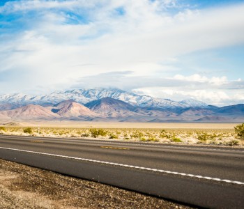 On the Side of The Road