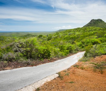 The Nature in the Caribbean