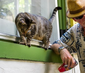 90 miles from Havana