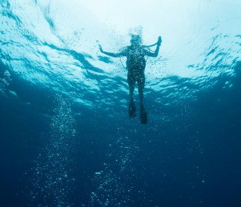 Diving in Seychelles