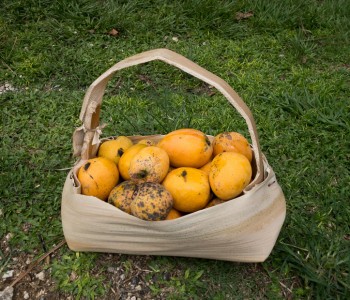 TV Show Hobiju Domnica: Three things to do in Cuba