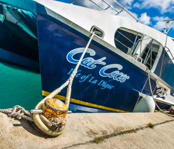 Island Hopping on a Ferry