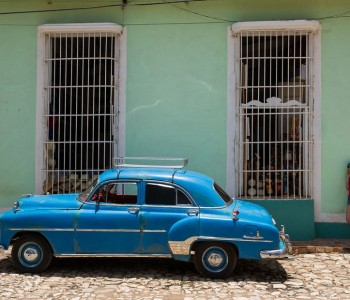Mango Season in Cuba
