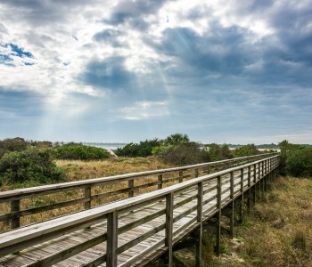 A Break During the Road Trip