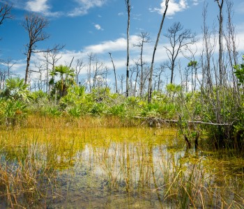 Key West or Cayo Hueso