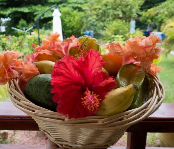 Tasty Honeymoon Surprise