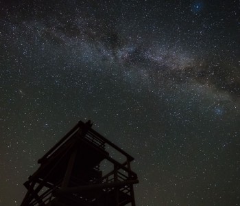 The Night at the Kemeri Swamp