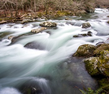 The River in The Valley