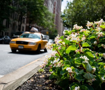 “Follow that car!”