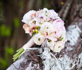 Ligavam.lv: Destination Wedding in Seychelles