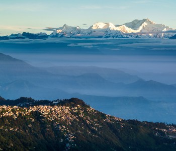 Darjeeling: Where Tea Grows in the Sky