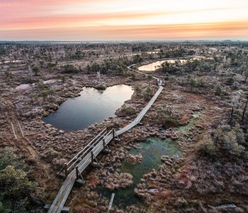 Skats.lv: 15 unbelievable sights from Kemeri bog