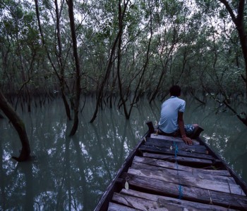 Skaties.lv: Kolkata and Sundarbans park