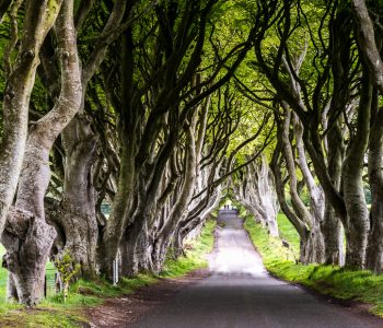Exploring Northern Ireland