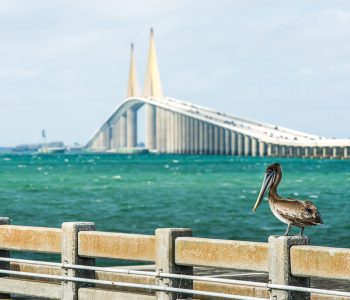 Ideas for vacation: where to go for state and school holidays