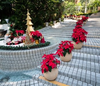 Sestdiena Svetki: How Christmas is Celebrated in China?