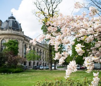 A Week in Paris in Spring