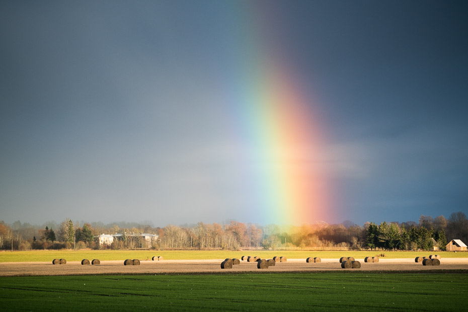 estonian rainbow