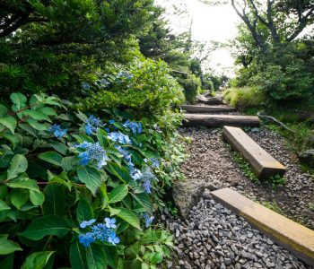 Annas psiholoģija: “How to travel in uncertain times” (Latvian)