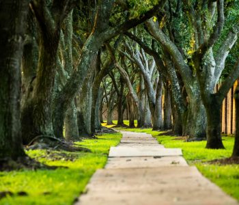 7 Day Road Trip in East Texas: Looking for the Real America in Austin, Houston & Around Nacogdoches