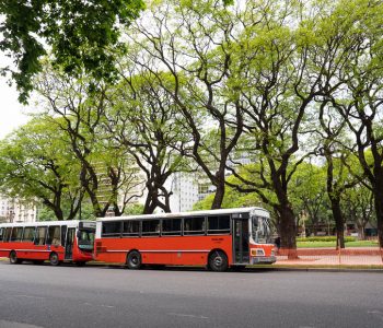 3 Days in Buenos Aires: Culture, Nature & Food