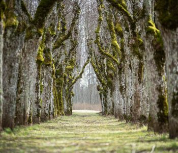 10 nature trails & paths to see in Latvia