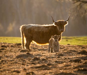 10 most impressive trips this year