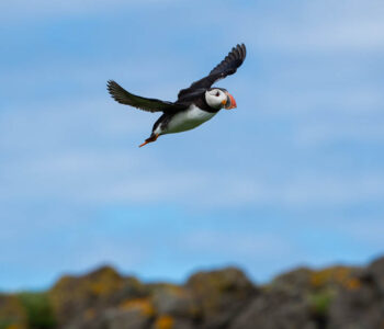 The most beautiful places visited in the year