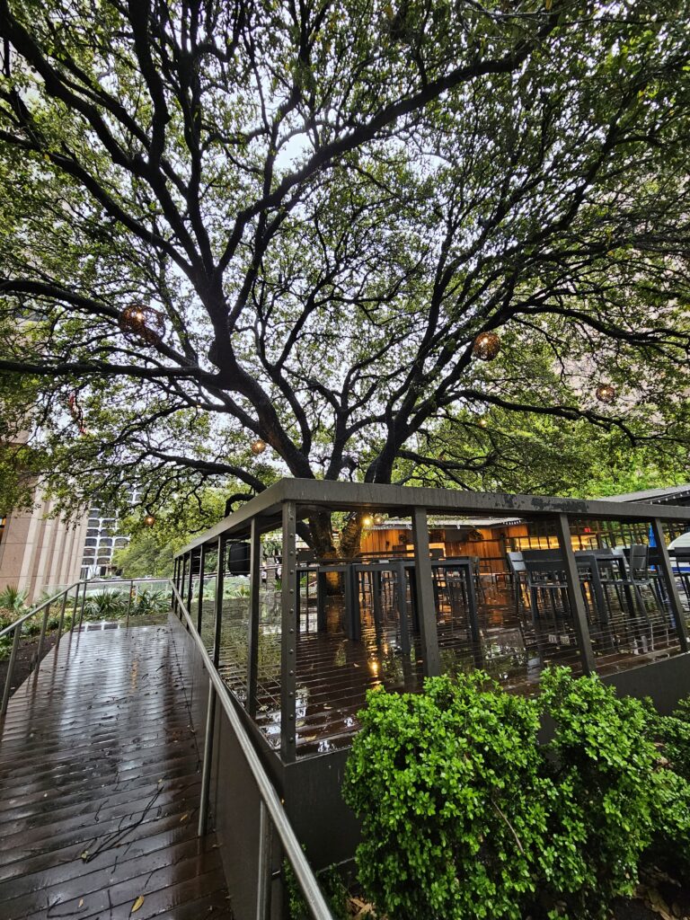 Rainy days in Austin