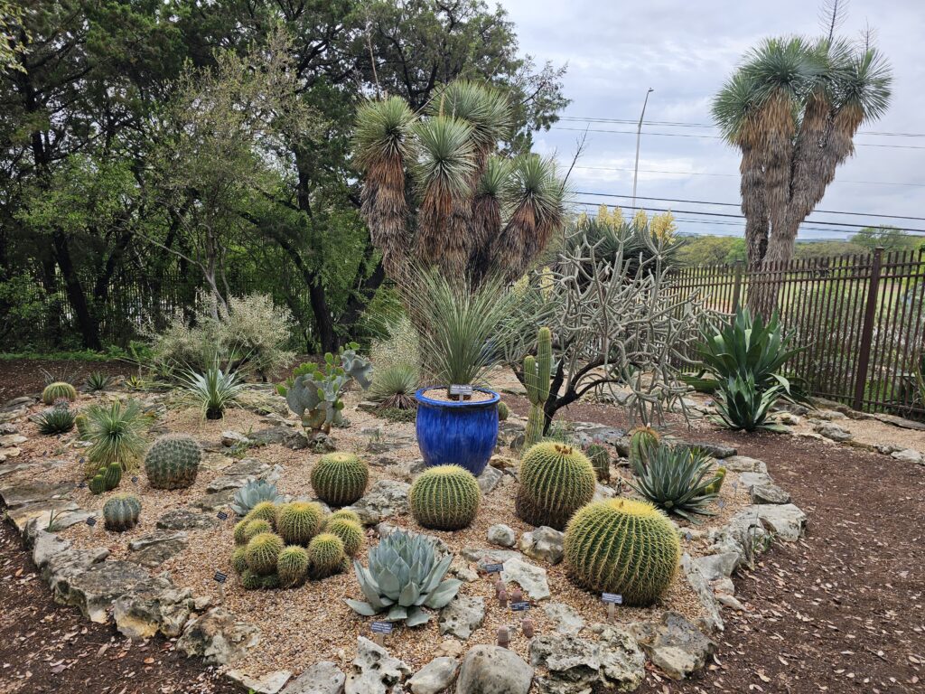Zilker botanical garden