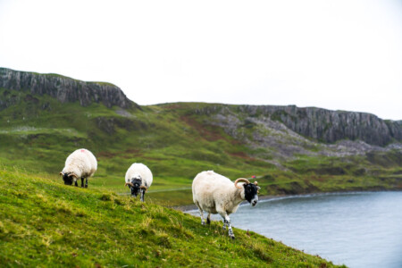 Farming of Scotland