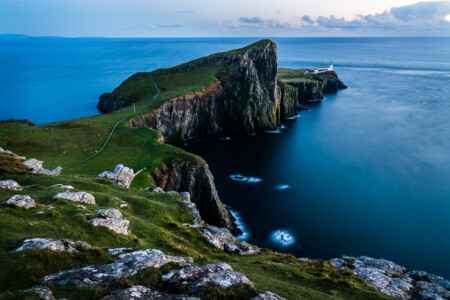 Whale watching spots Scotland