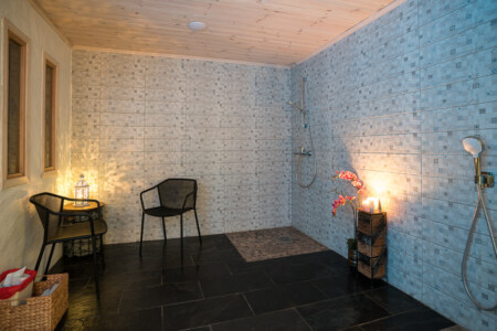 sauna sanarium