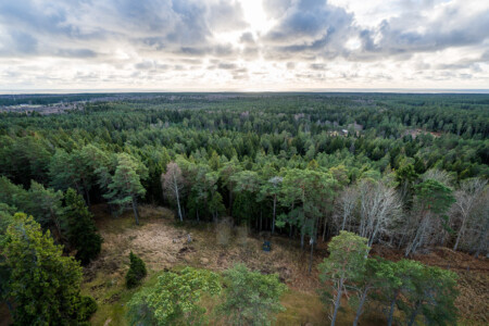 estonian landscape