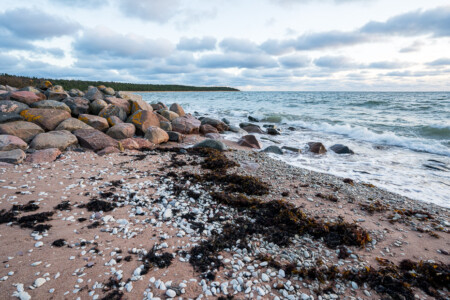 estonian seaside