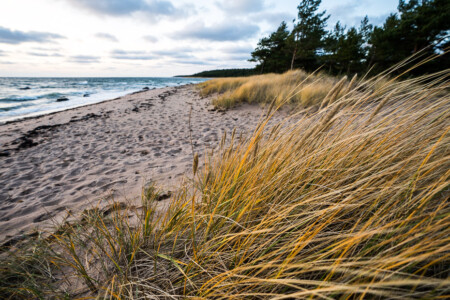 autumn in estonian islands