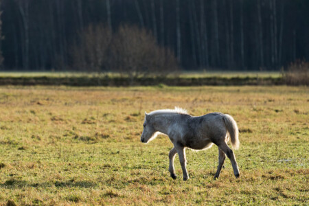 Sustainable eco tourism Estonia