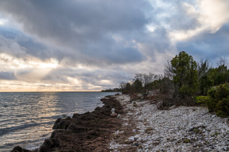 Baltic sea beach