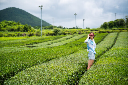 Agriculture Korea
