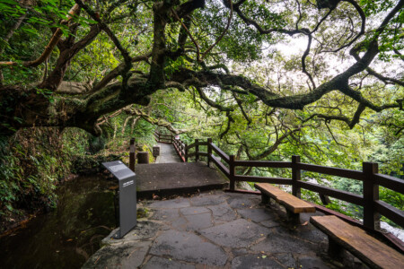 Nature trail